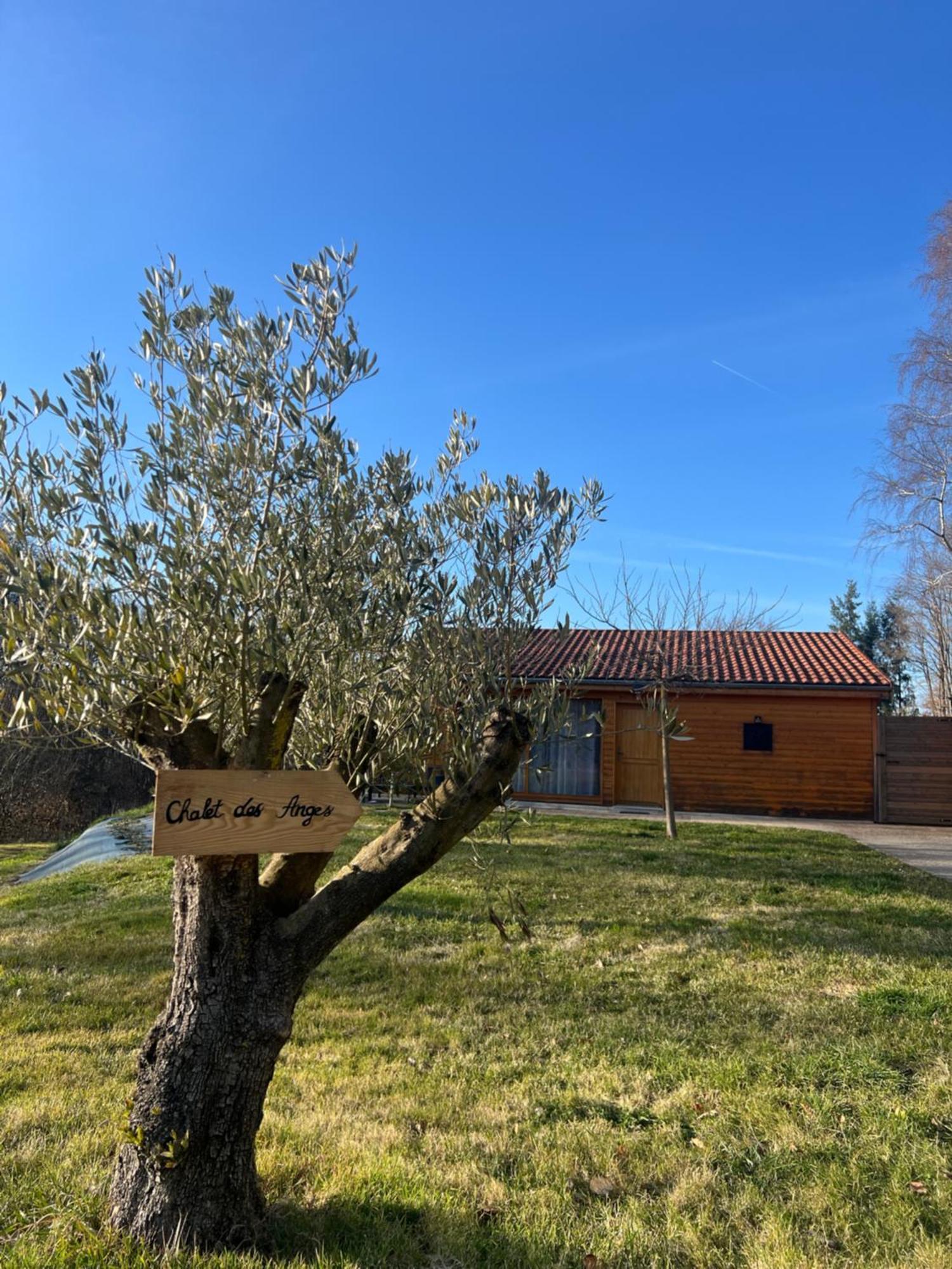 Chalet Des Anges Youx Εξωτερικό φωτογραφία